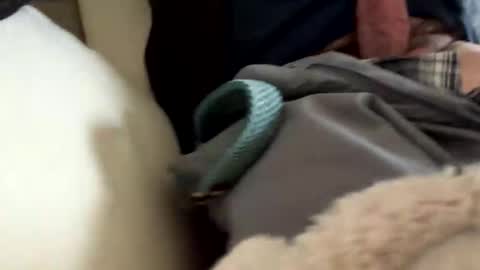 anonomousloser online show from March 19, 2026, 2:43 pm