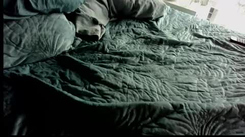 Anonpov couple online show from February 28, 2026, 12:55 am