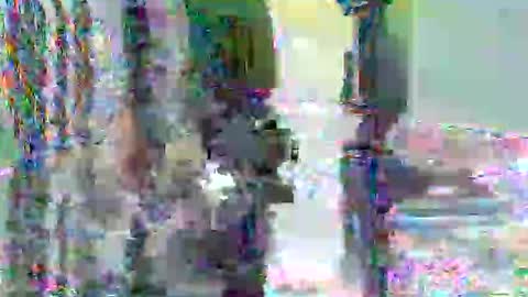 anssyboy696 online show from November 7, 2025, 7:36 pm