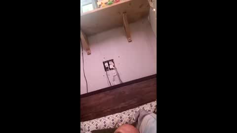 anthony9168 online show from March 25, 2026, 11:22 pm