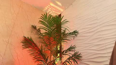 anton__monacu online show from November 25, 2025, 3:50 am