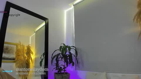 Antonella14Dominic online show from December 15, 2025, 6:45 pm