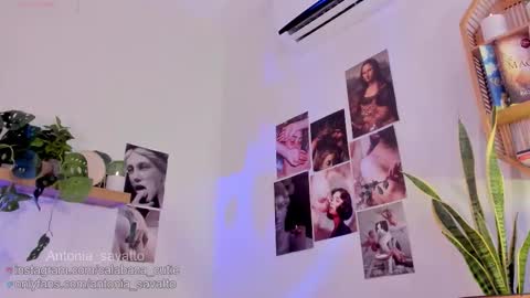 o ANTO online show from March 11, 2026, 6:36 pm