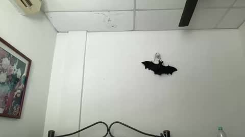 Antonia online show from December 5, 2024, 3:28 pm