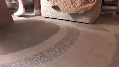 antonino85 online show from January 18, 2025, 2:36 am