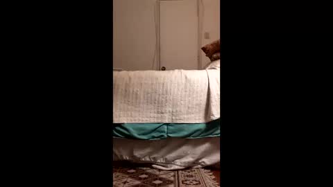 antonino85 online show from March 19, 2026, 11:09 pm