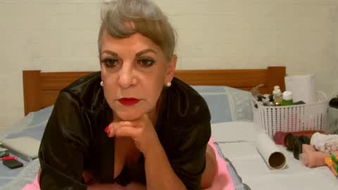 ANY CAT online show from December 24, 2024, 8:55 am