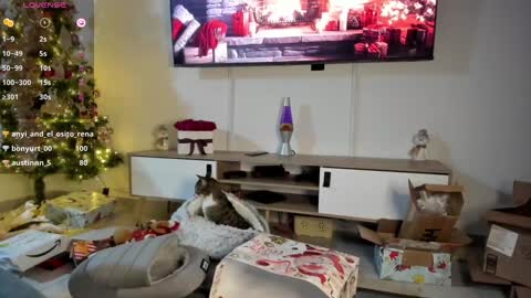 Anyi  Orion and Pyxis online show from January 7, 2025, 3:24 am