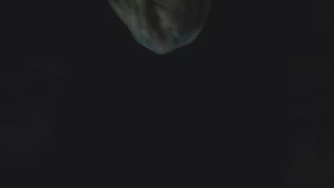 Daddy online show from March 17, 2026, 9:01 am