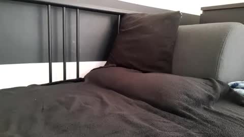 apollobest77 online show from November 6, 2025, 2:40 pm