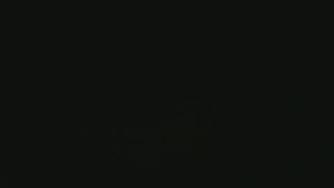 apollonfitx_69 online show from January 31, 2025, 11:13 pm