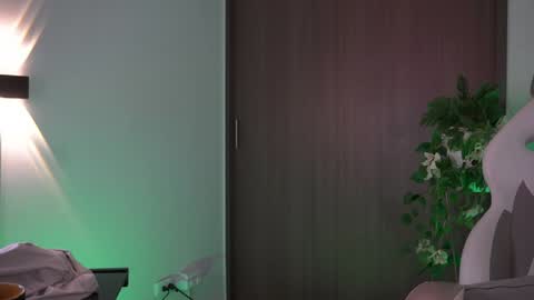 insta appolo master online show from December 19, 2024, 10:42 pm