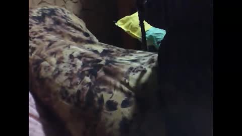 Snapshot of ara_bellah chatting on March 21, 2026, 8:34 pm ara bellah online show from March 21, 2026, 8:34 pm