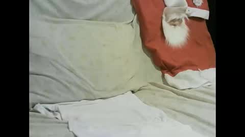 arabtrans2025 online show from January 17, 2025, 7:27 pm