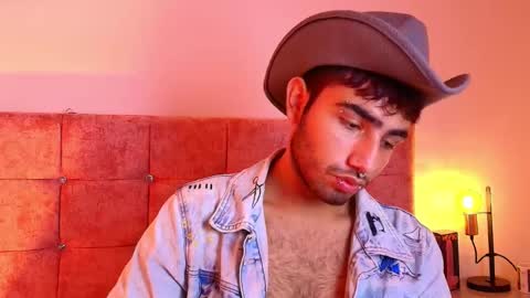 Snapshot of ares_alpha chatting on October 17, 2025, 7:49 pm Ares Alpha online show from October 17, 2025, 7:49 pm