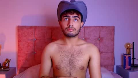 Snapshot of ares_alpha chatting on October 28, 2025, 7:05 pm Ares Alpha online show from October 28, 2025, 7:05 pm