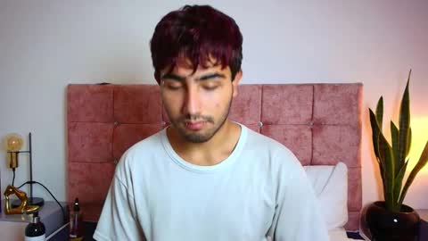 Snapshot of ares_alpha chatting on November 29, 2025, 6:33 pm Ares Alpha online show from November 29, 2025, 6:33 pm