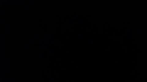 ARIANNA  online show from February 3, 2026, 2:53 am