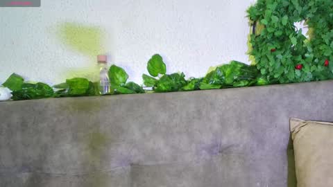 ari online show from December 11, 2024, 6:04 am