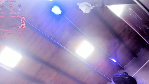 ARI  online show from January 29, 2025, 11:41 am