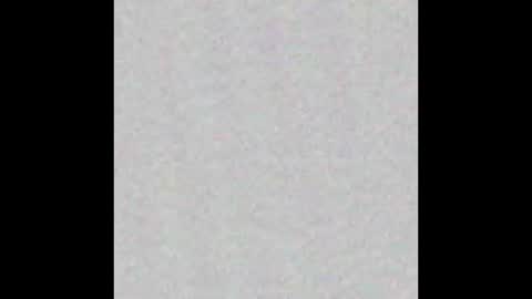 Arianna Collins online show from October 4, 2025, 11:19 am