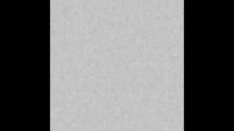 Arianna Collins online show from October 14, 2025, 11:44 am