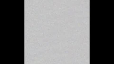 Arianna Collins online show from February 25, 2026, 11:53 am