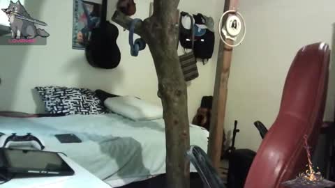 artorias 4 online show from January 28, 2025, 10:34 pm