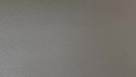 ash123400000 online show from February 12, 2026, 10:27 pm