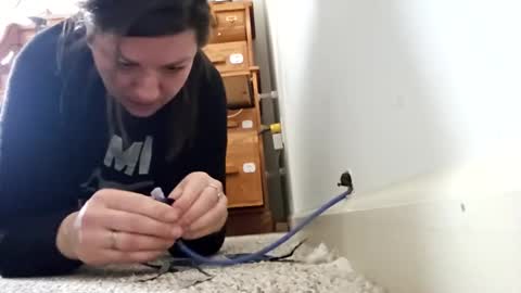 Ashelynn Grey online show from February 3, 2025, 5:03 pm