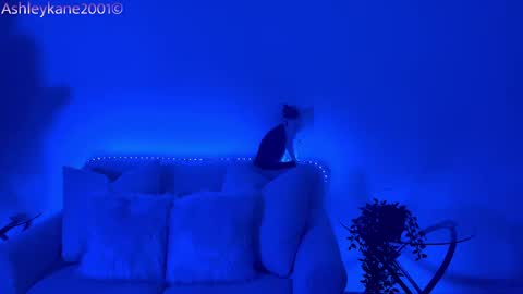 Ashley online show from January 20, 2025, 4:54 am