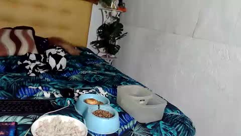 Snapshot of asianladyboy888 chatting on November 24, 2025, 4:07 pm asianladyboy888 online show from November 24, 2025, 4:07 pm