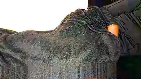 Assiology online show from March 12, 2025, 8:41 pm