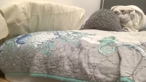 astrologyboy online show from April 22, 2026, 2:36 am