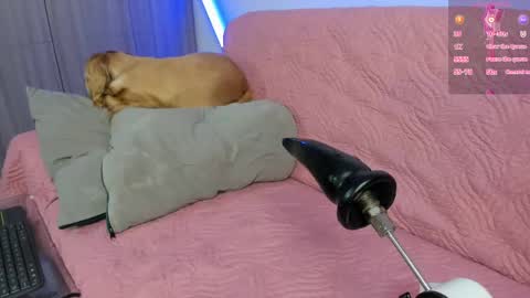 Atalaya  - Jack online show from April 25, 2026, 4:59 am