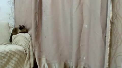 Kiara Xanthe online show from February 25, 2026, 2:48 pm