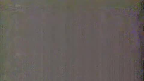 Aurora and Orion online show from January 15, 2025, 3:33 am