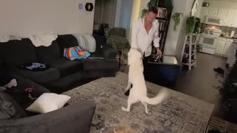 Aurora and Orion online show from October 16, 2025, 11:28 pm