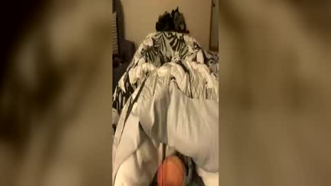 aussiedaddy111109491 online show from June 18, 2026, 1:04 pm