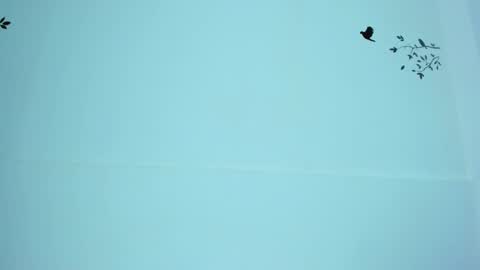 Mariana online show from March 12, 2025, 11:12 pm