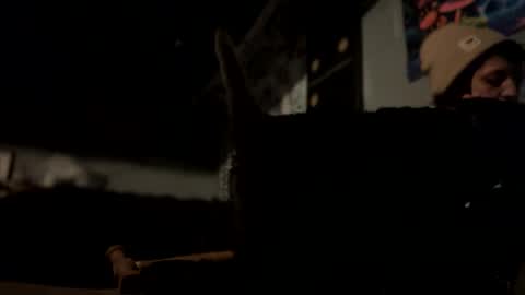 baby buddha  online show from December 6, 2024, 7:56 pm