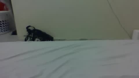 needoh online show from March 27, 2026, 12:38 am