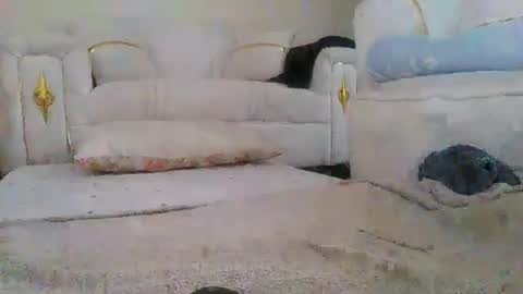 baby_smiler online show from May 24, 2026, 9:14 am
