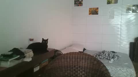 babydemon6 online show from November 14, 2025, 6:50 pm