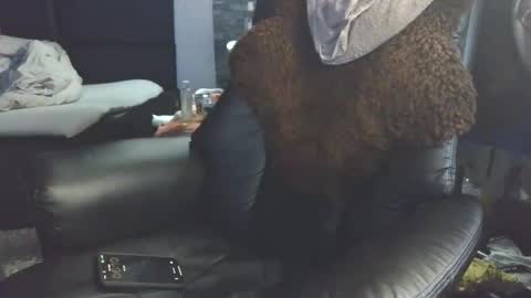 Badboy95 online show from April 3, 2026, 4:10 am