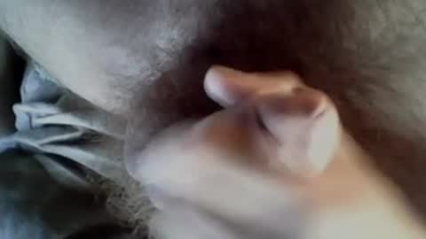 Baghira online show from September 27, 2025, 8:30 am