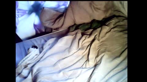 Baghira online show from February 22, 2026, 12:15 pm