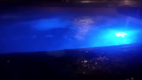 bakerbeachismygig online show from December 9, 2024, 4:45 am