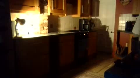 Ballet Bear online show from November 2, 2025, 7:27 pm