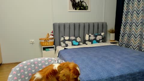 Kira online show from January 10, 2025, 4:41 pm